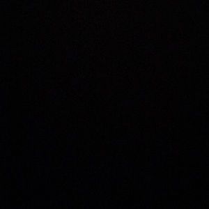 Meet your Posher, Dani